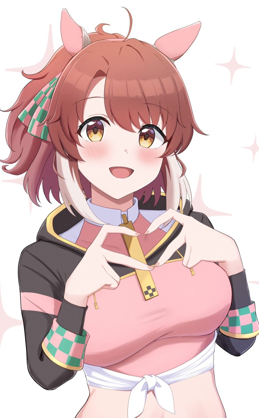 Dantsu Flame (Center Spotlight) (Umamusume) Rule 34 Image