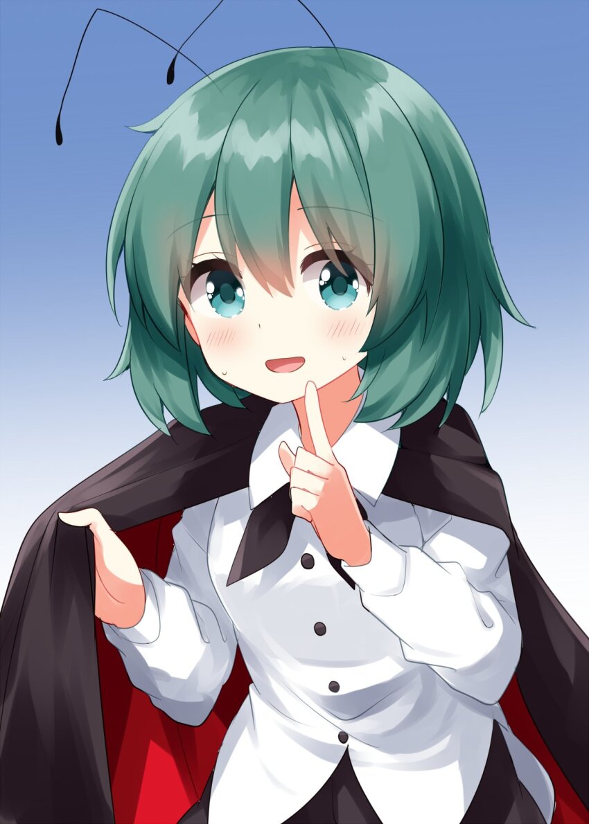Wriggle Nightbug (Touhou) Rule 34 Image