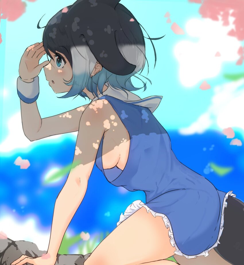 Common Dolphin (Kemono Friends) Rule 34 Image