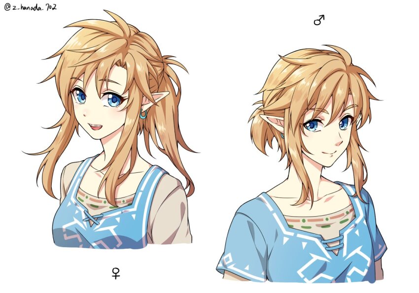 Link (Nintendo) Rule 34 Image
