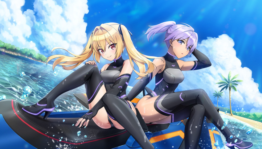 Dolphin Wave Rule 34 Image