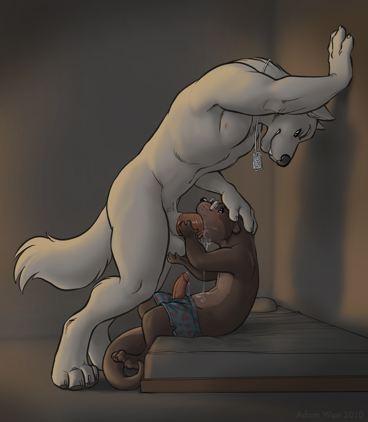 Adam Wan Rule 34 Image