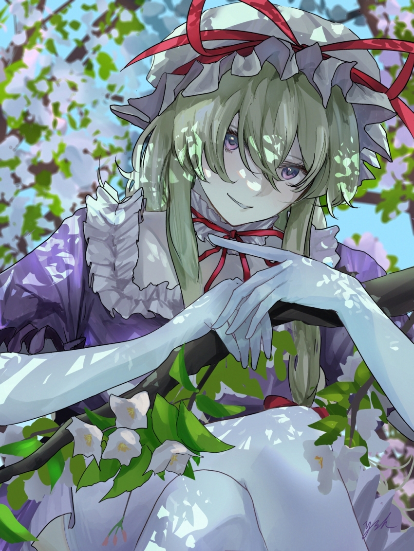 Yakumo Yukari (Touhou) Rule 34 Image