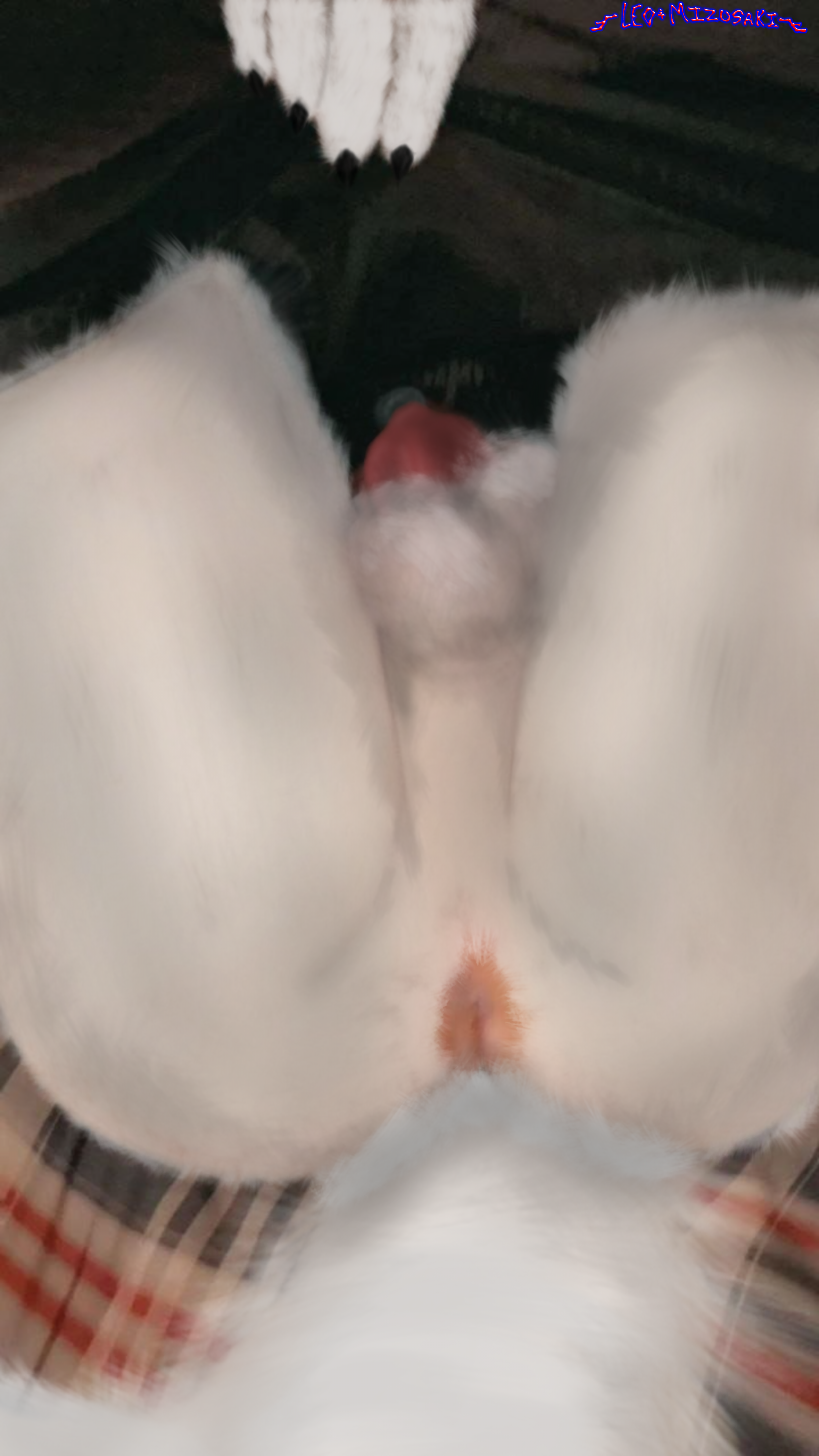 Absurd Res Rule 34 Image