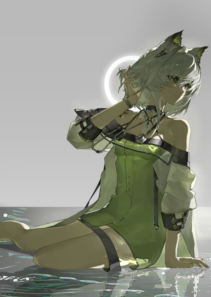 Kal'Tsit (Arknights) Rule 34 Image