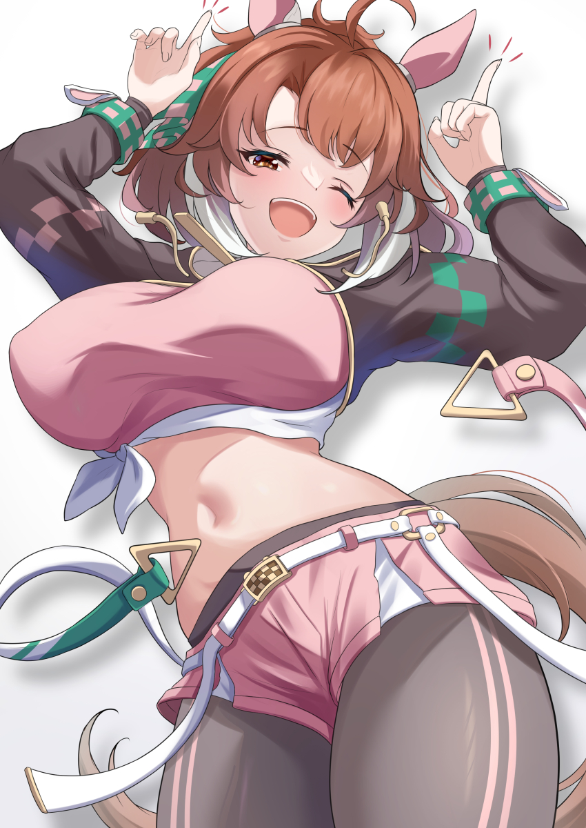 Dantsu Flame (Center Spotlight) (Umamusume) Rule 34 Image