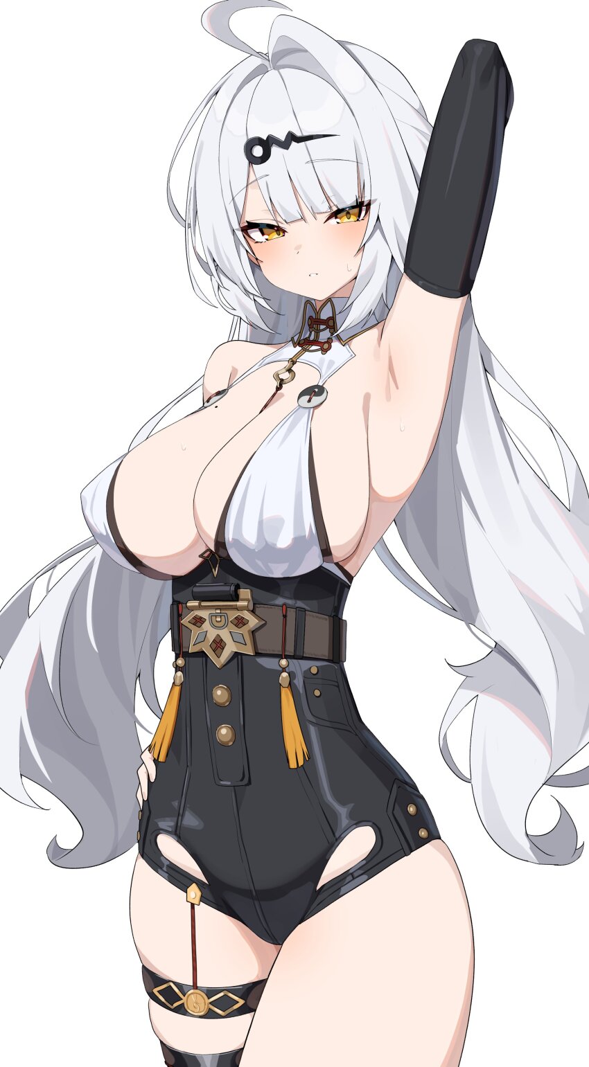 Yixuan (Zenless Zone Zero) Rule 34 Image
