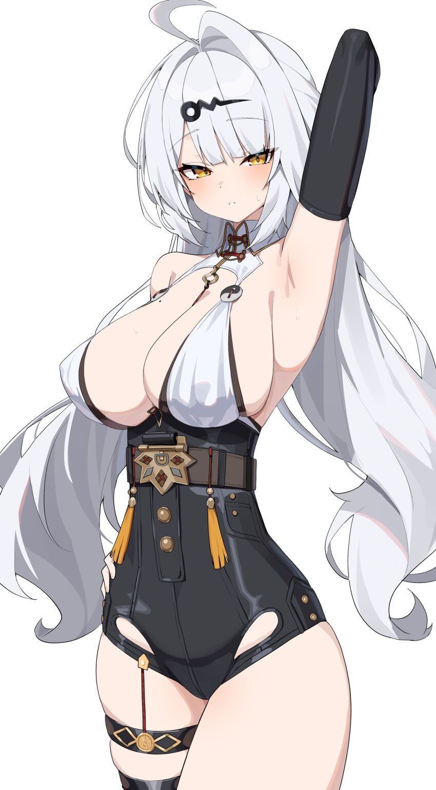 Yixuan (Zenless Zone Zero) Rule 34 Image