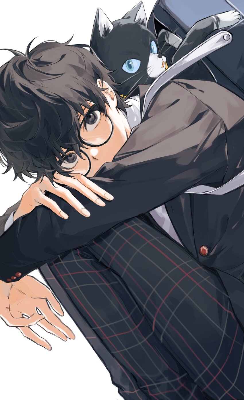 Amamiya Ren (Morgana (Persona 5)) Rule 34 Image