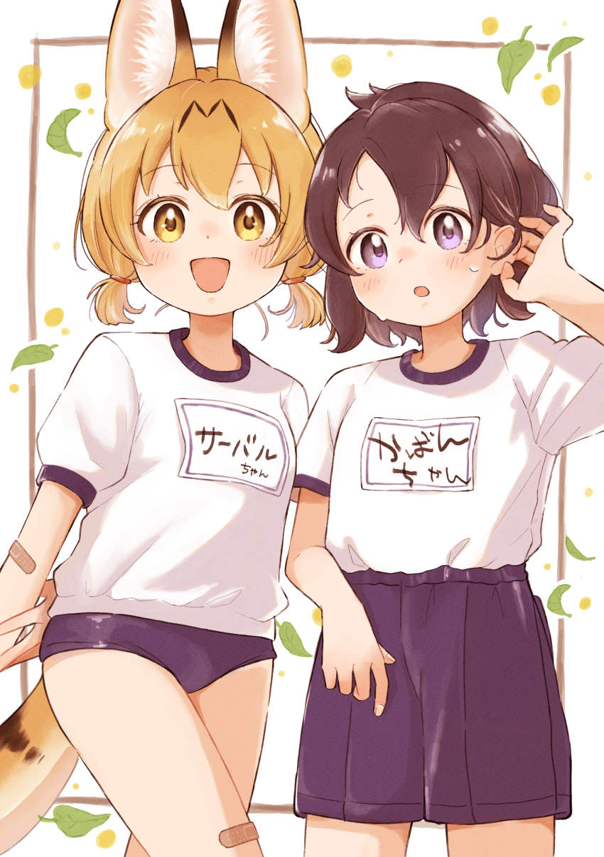 Kaban (Kemono Friends) Rule 34 Image
