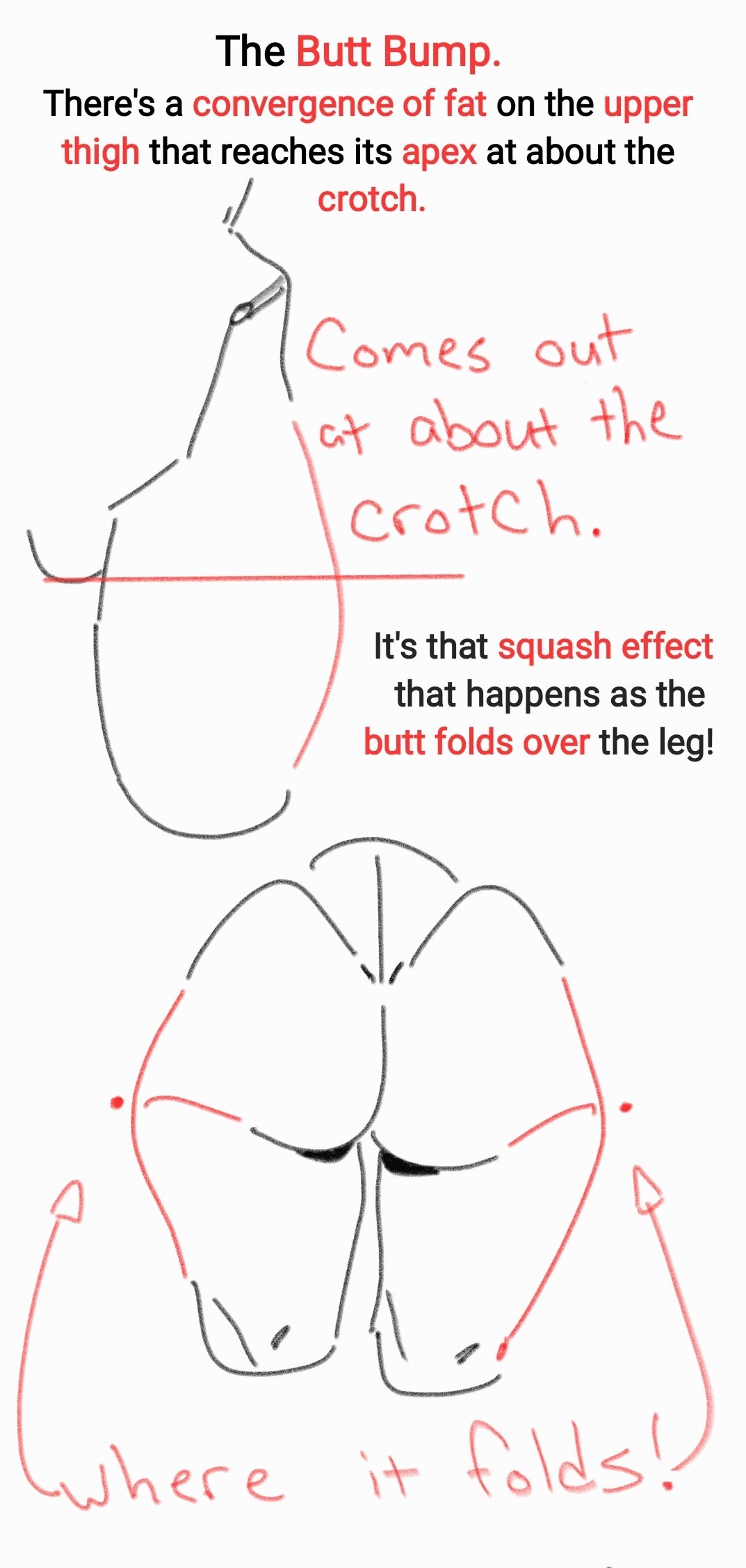 Anatomy Rule 34 Image