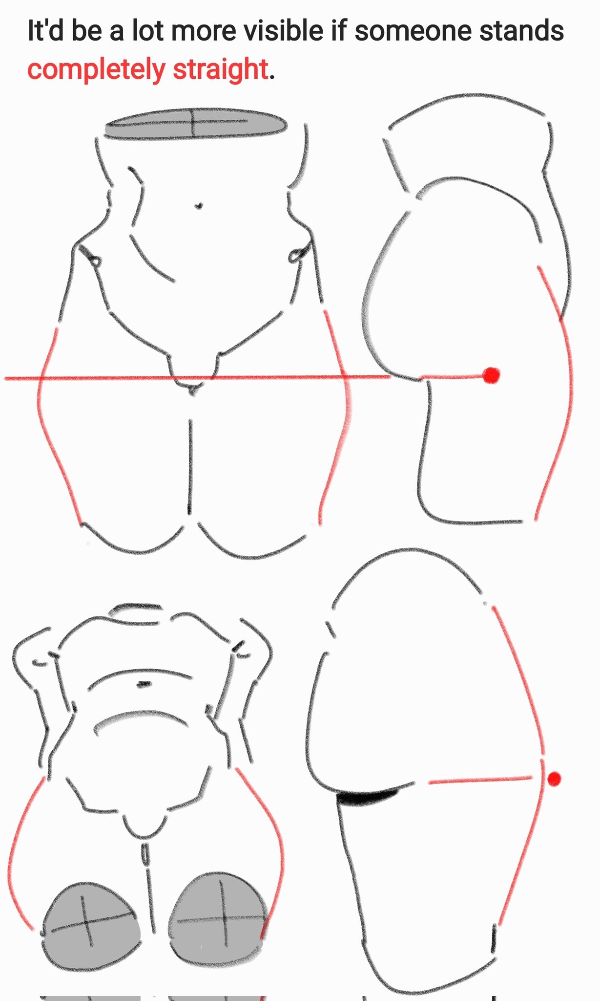 Anatomy Rule 34 Image