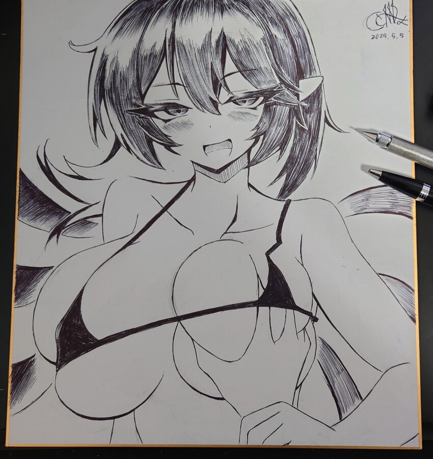 Houjuu Nue (Touhou) Rule 34 Image