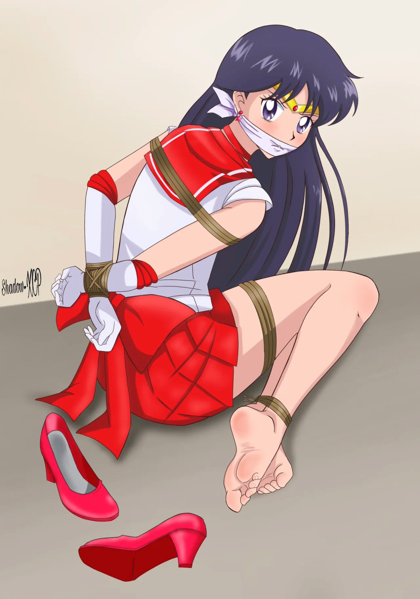 Sailor Mars (Bishoujo Senshi Sailor Moon) Rule 34 Image