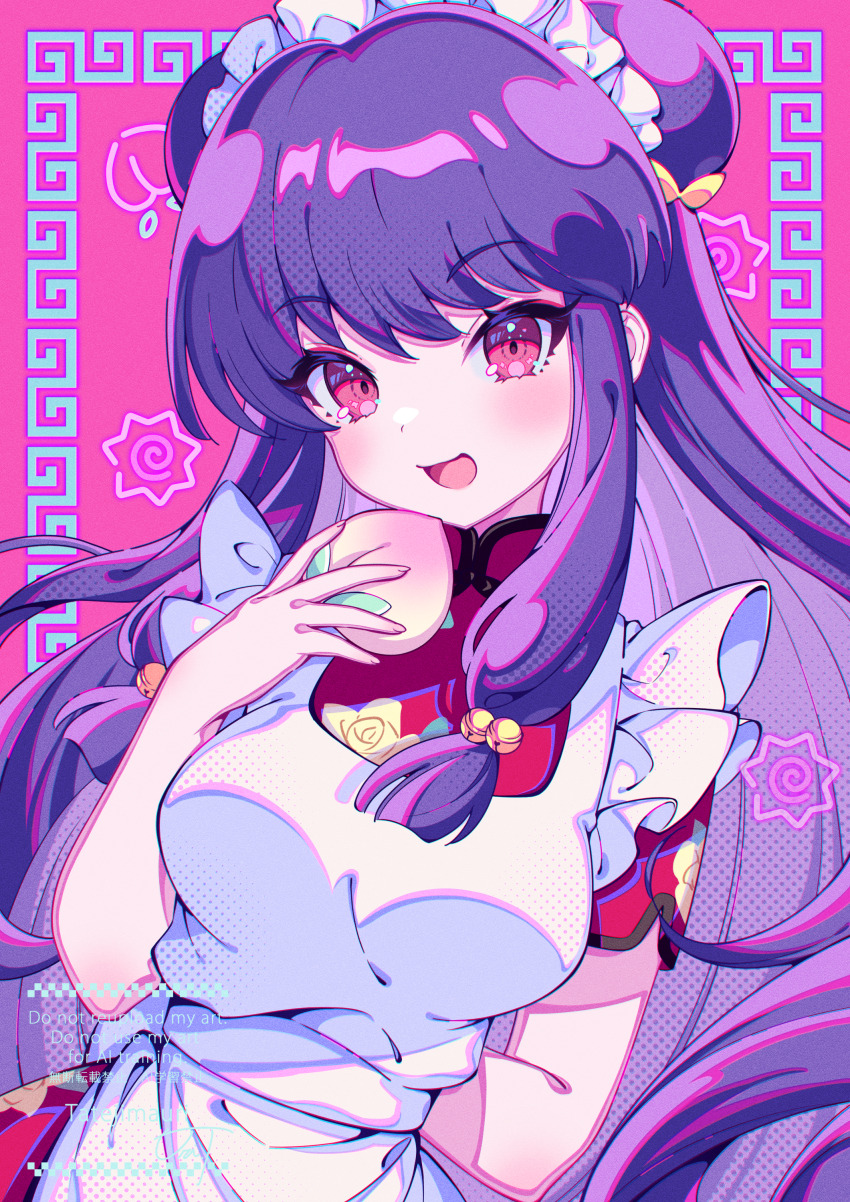 Shampoo (Ranma 1/2) Rule 34 Image