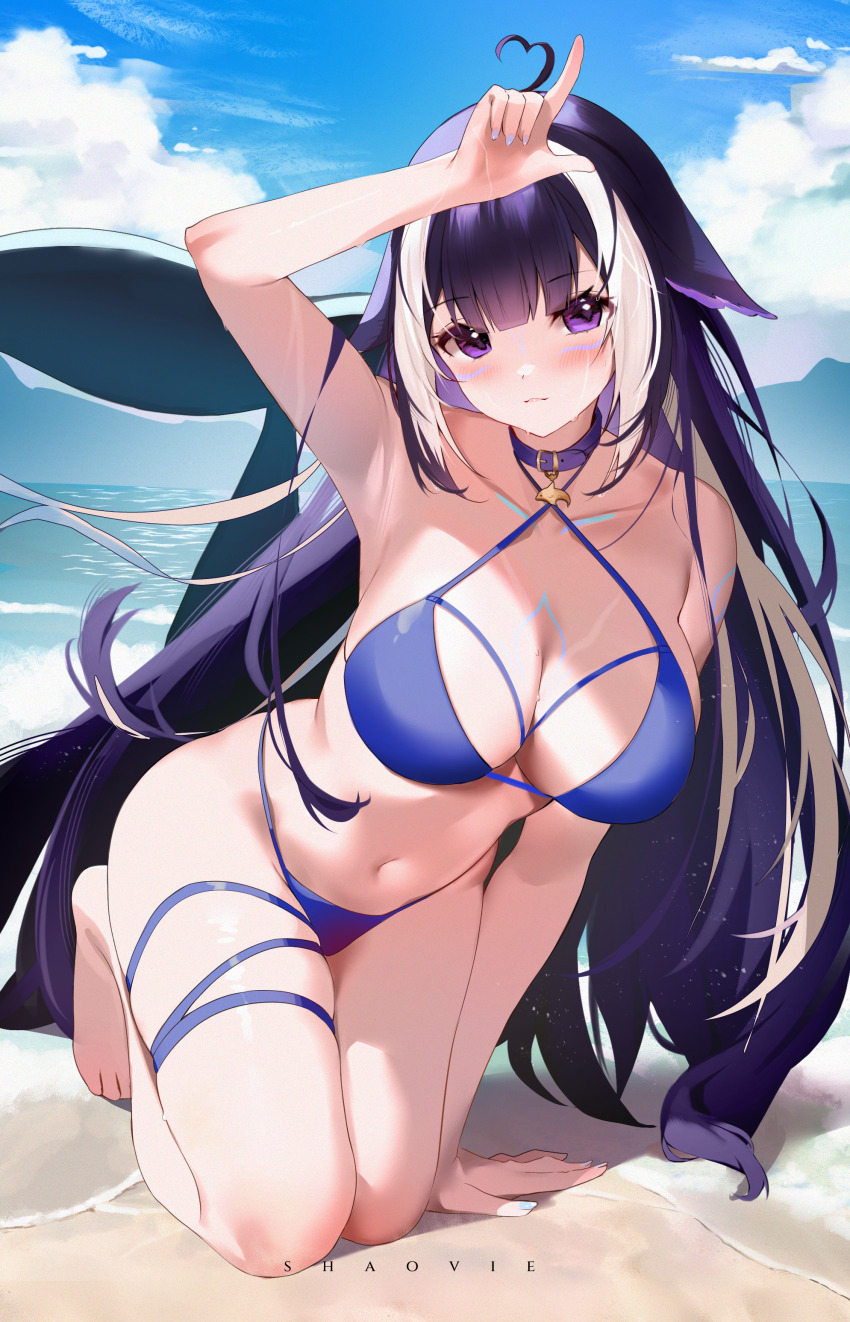 Shylily (Indie Virtual Youtuber) Rule 34 Image