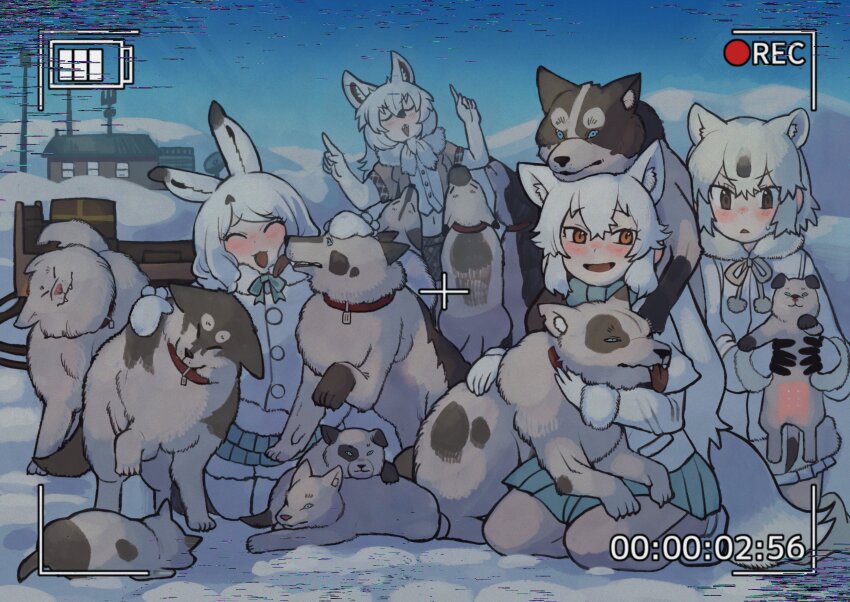 Arctic Fox (Kemono Friends) Rule 34 Image