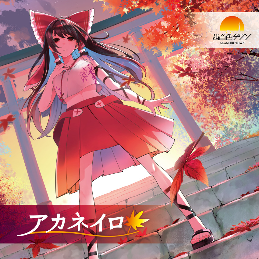 Hakurei Reimu (Touhou) Rule 34 Image