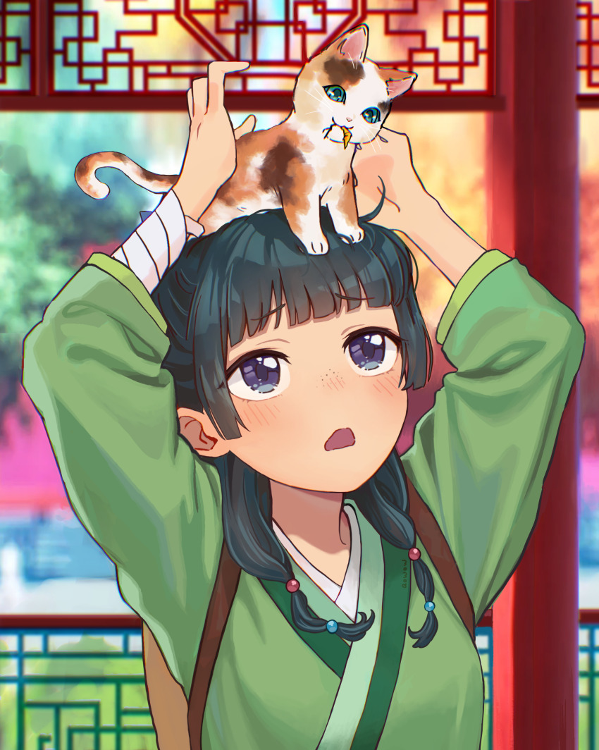 Maomao (Kusuriya No Hitorigoto) Rule 34 Image