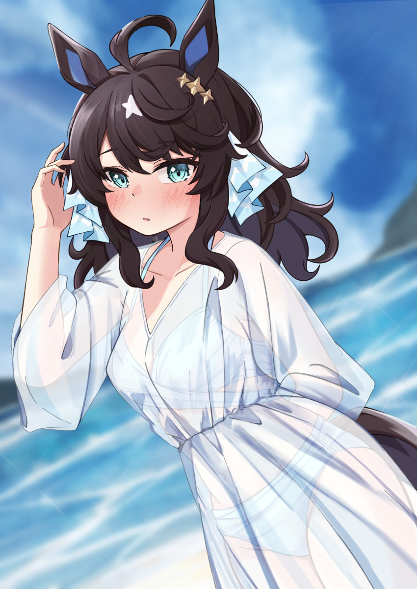 Daring Tact (Umamusume) Rule 34 Image
