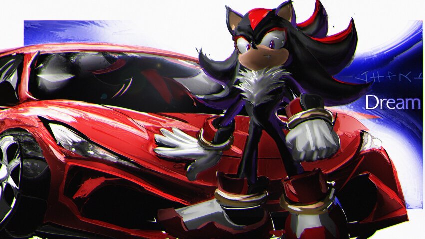 Shadow The Hedgehog (Sonic (Series)) Rule 34 Image