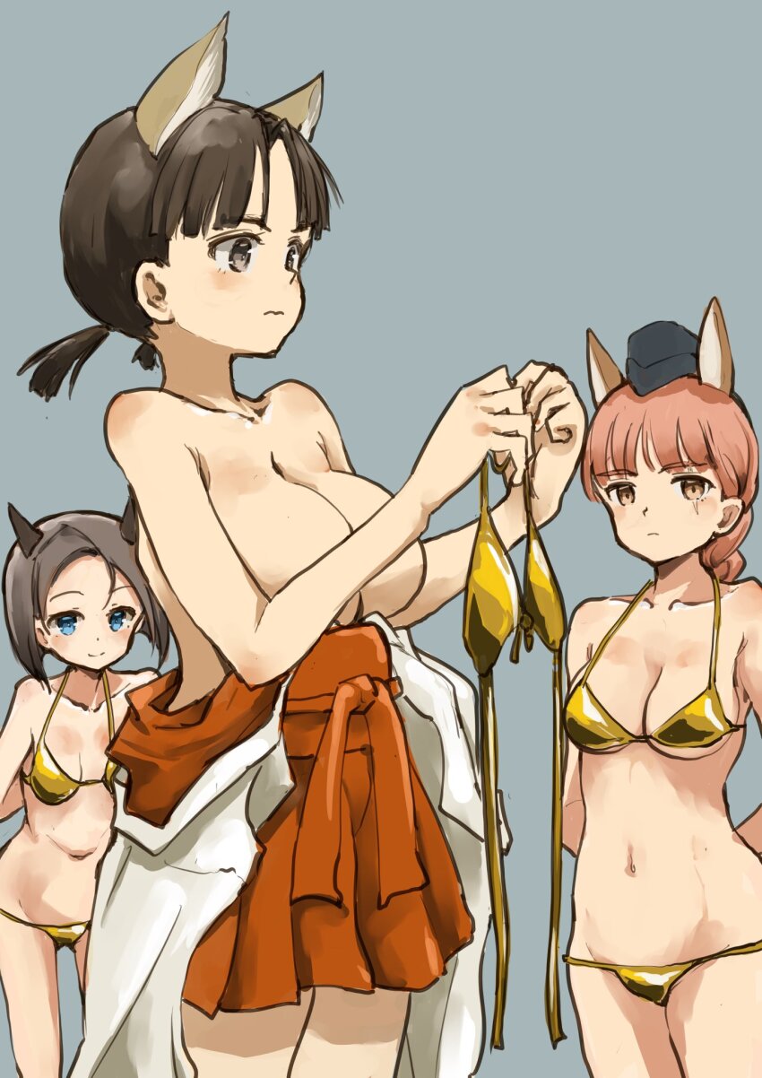 World Witches Series Rule 34 Image