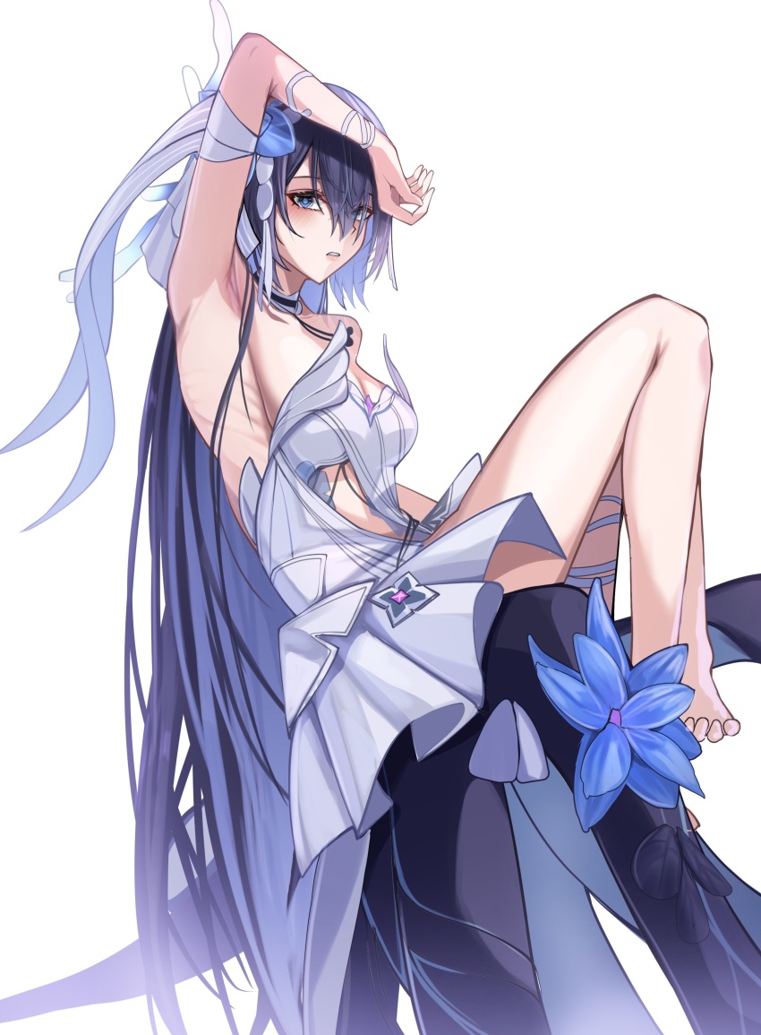 Seele Vollerei (Honkai (Series)) Rule 34 Image