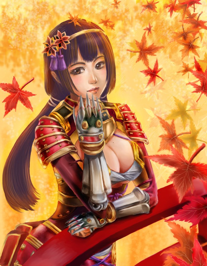 Ii Naotora (Sengoku Musou) Rule 34 Image
