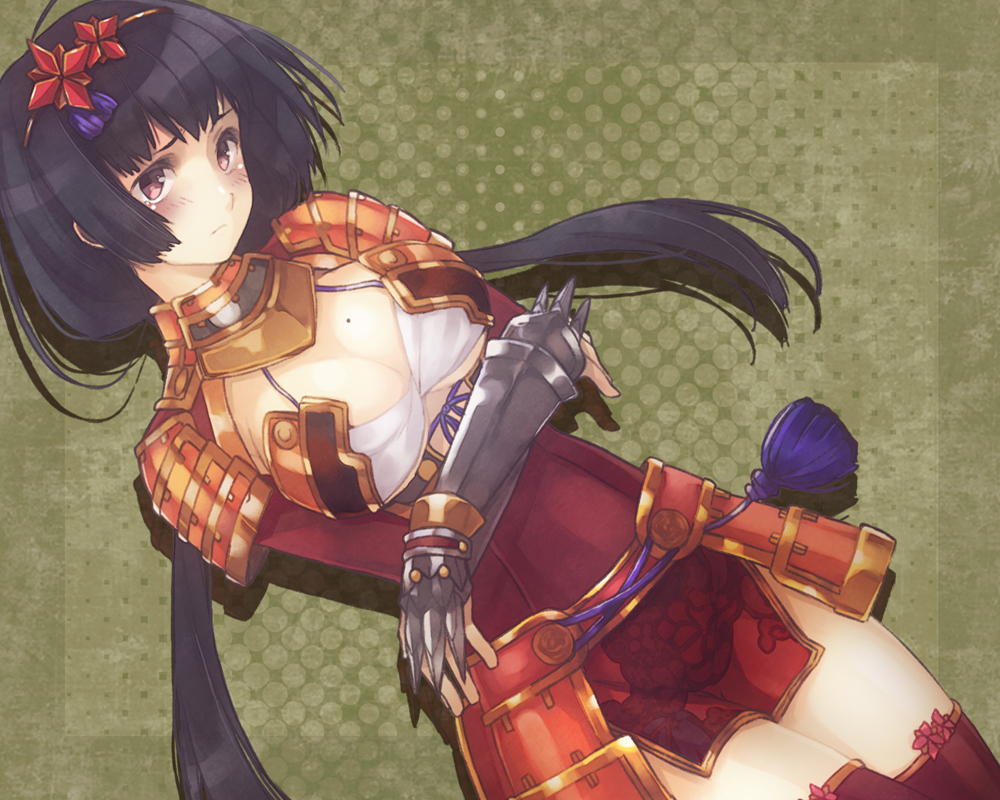 Ii Naotora (Sengoku Musou) Rule 34 Image