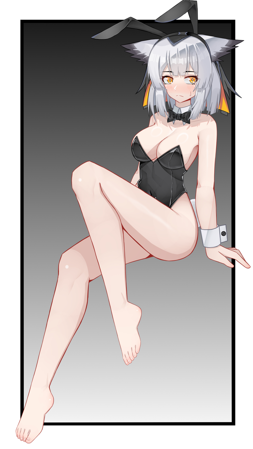 Ptilopsis (Arknights) Rule 34 Image