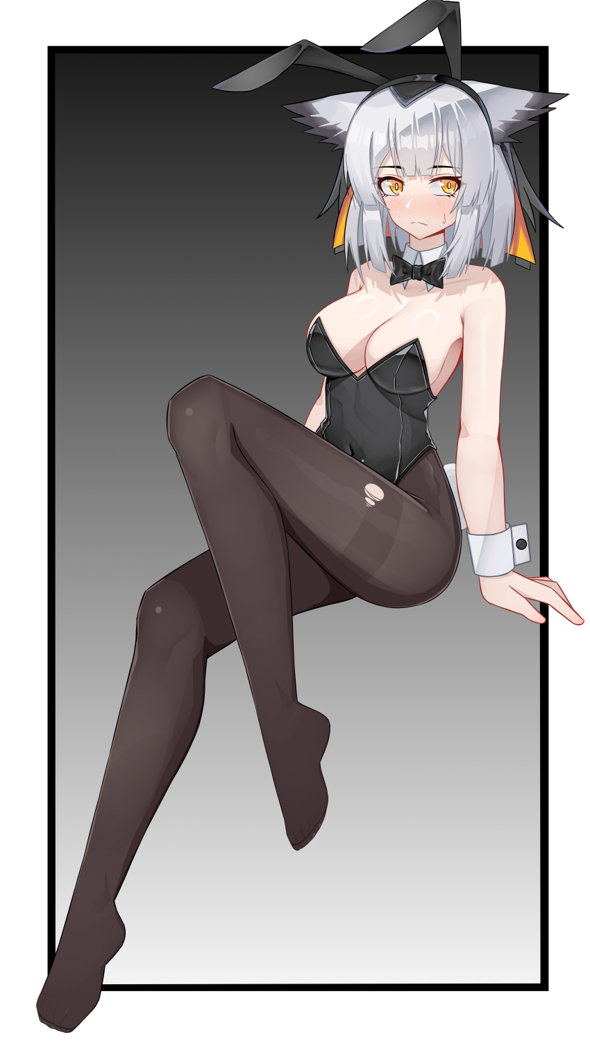 Ptilopsis (Arknights) Rule 34 Image