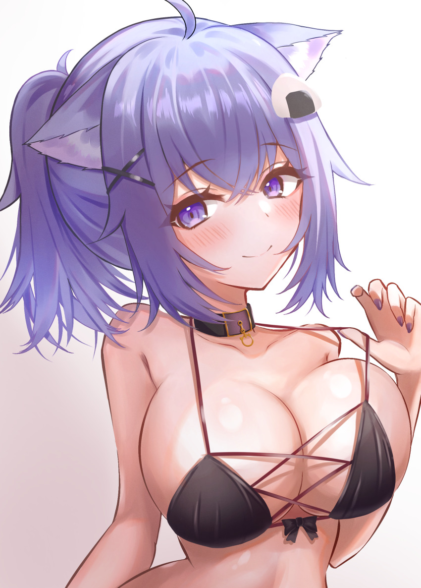 Nekomata Okayu (Hololive) Rule 34 Image