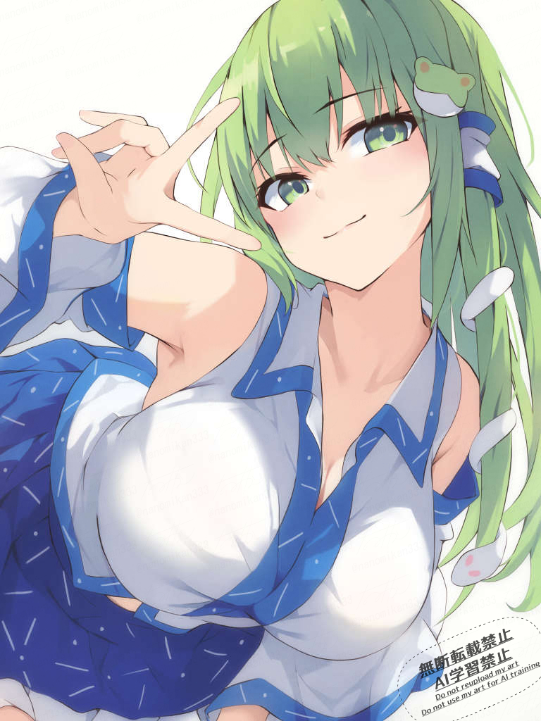 Kochiya Sanae (Touhou) Rule 34 Image