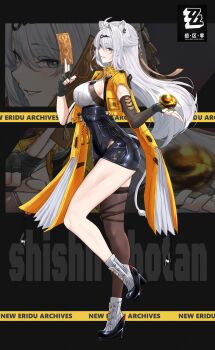 Yixuan (Zenless Zone Zero) Rule 34 Image