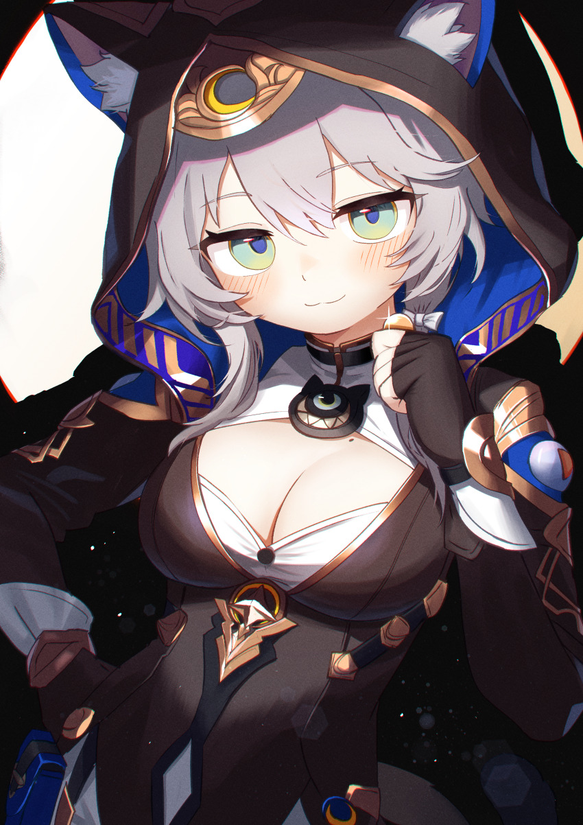 Cipher (Honkai: Star Rail) Rule 34 Image