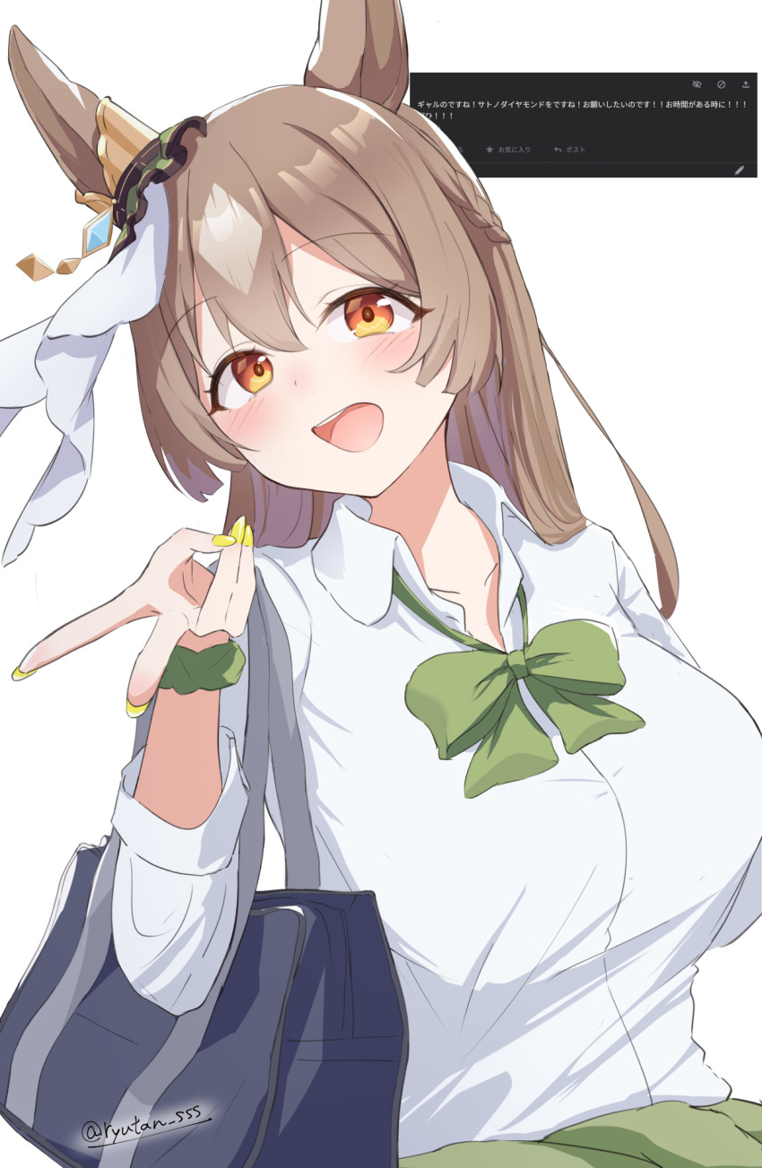 Satono Diamond (Umamusume) Rule 34 Image