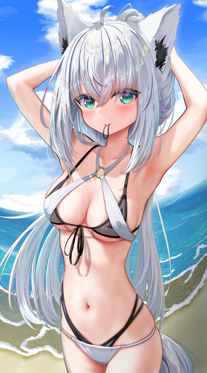 Shirakami Fubuki (Hololive) Rule 34 Image