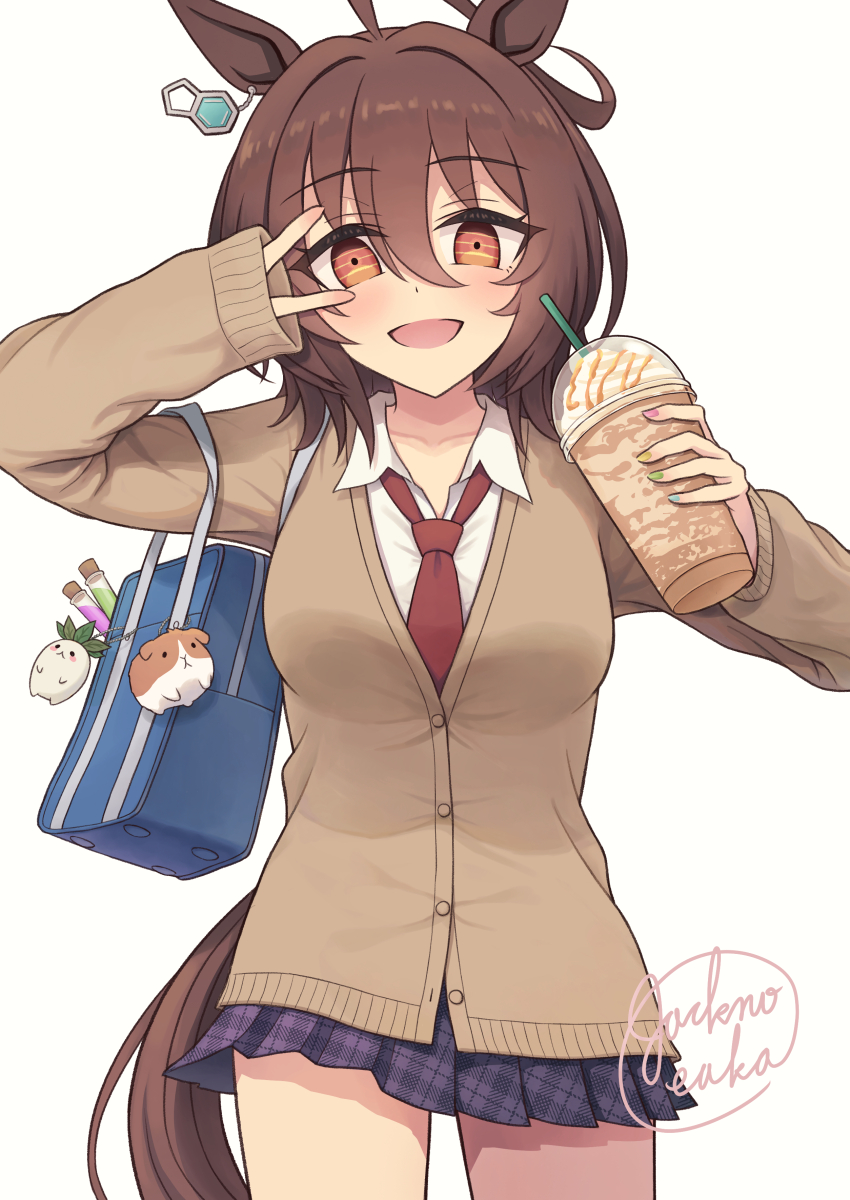 Agnes Tachyon (Umamusume) Rule 34 Image