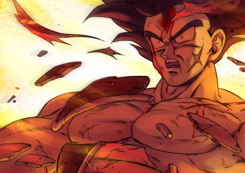 Bardock (Dragon Ball) Rule 34 Image