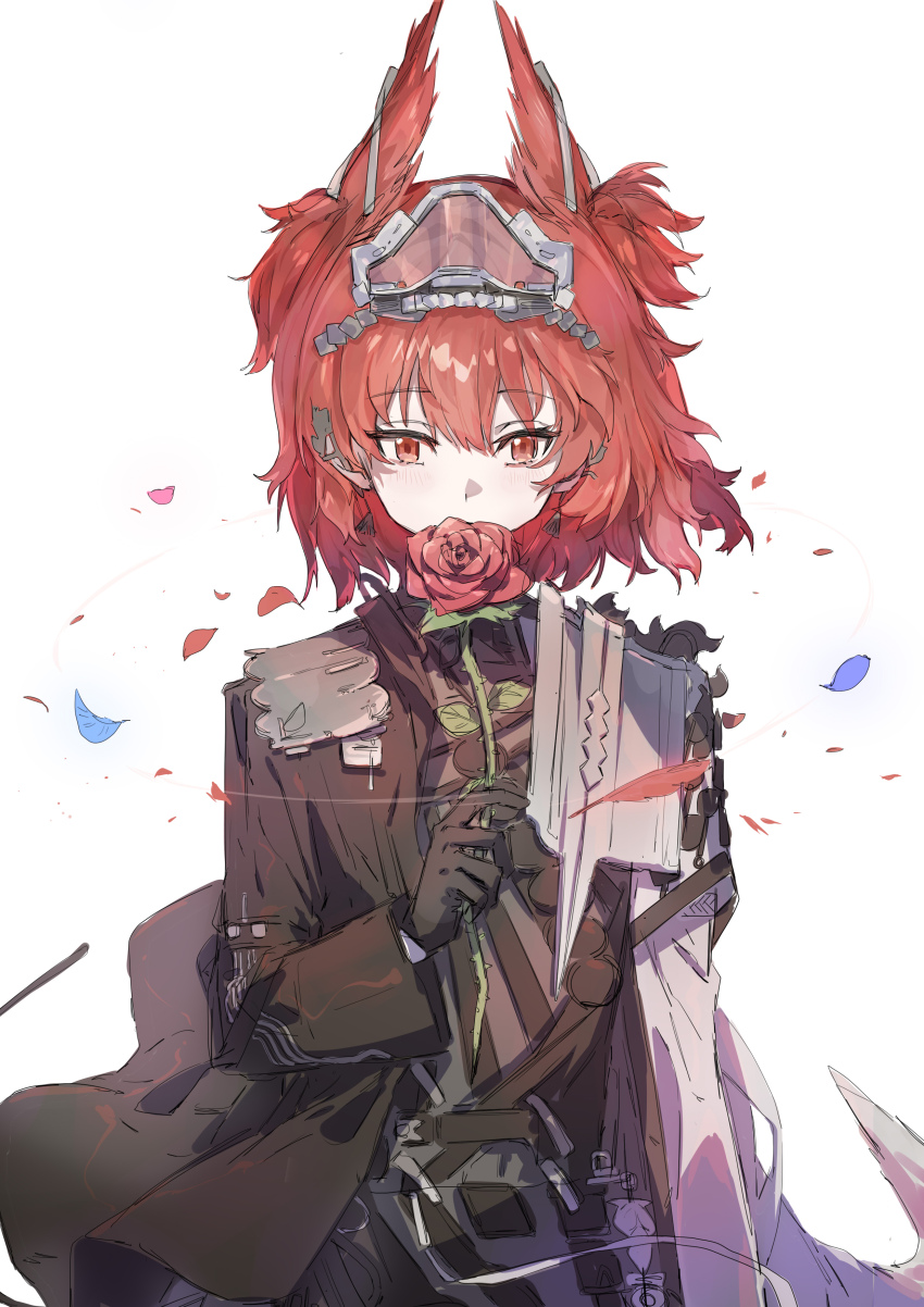Fiammetta (Arknights) Rule 34 Image