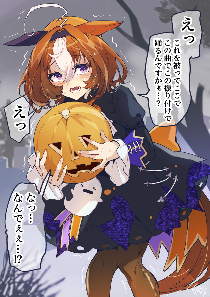 Meisho Doto (Umamusume) Rule 34 Image