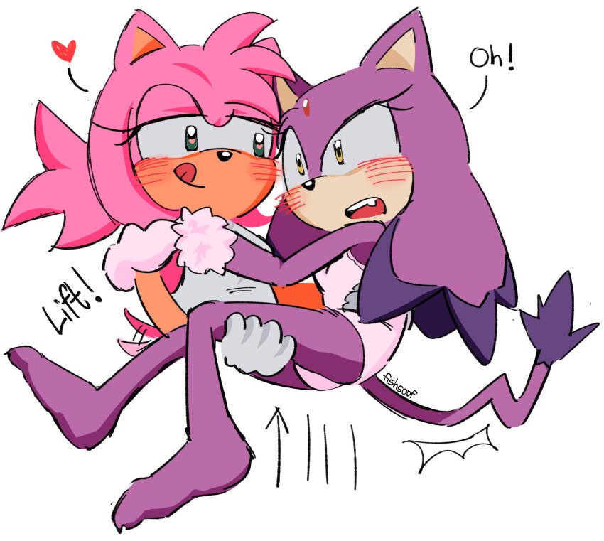 Amy Rose (Sonic (Series)) Rule 34 Image