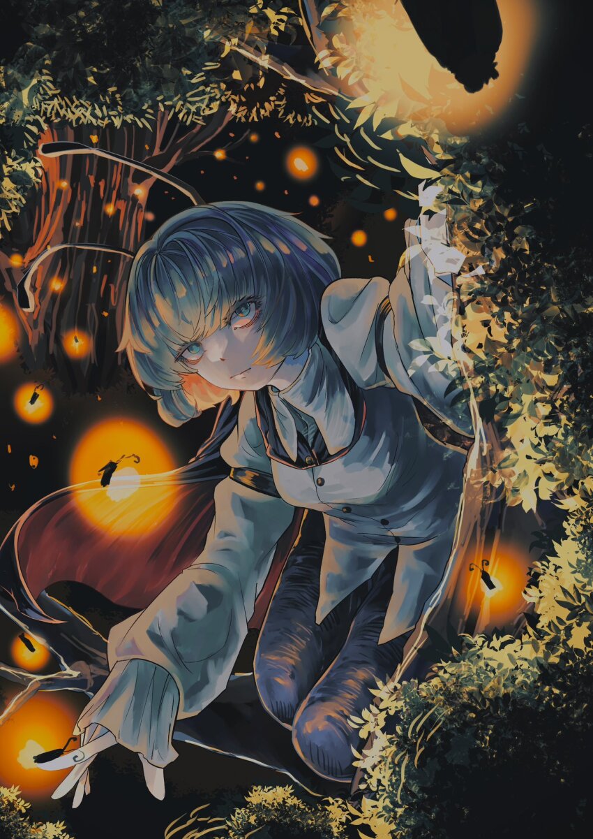 Wriggle Nightbug (Touhou) Rule 34 Image