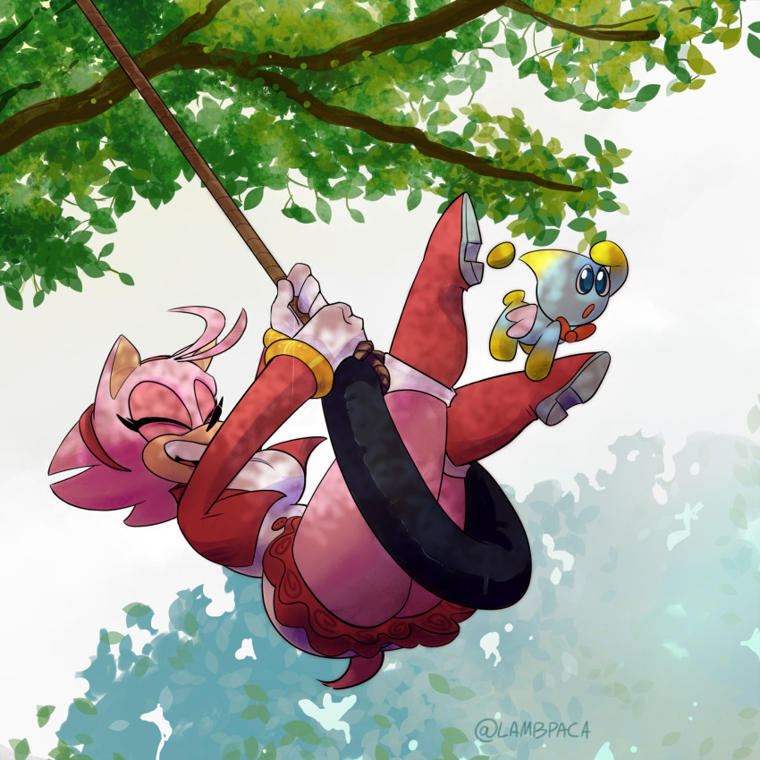 Amy Rose (Sonic (Series)) Rule 34 Image
