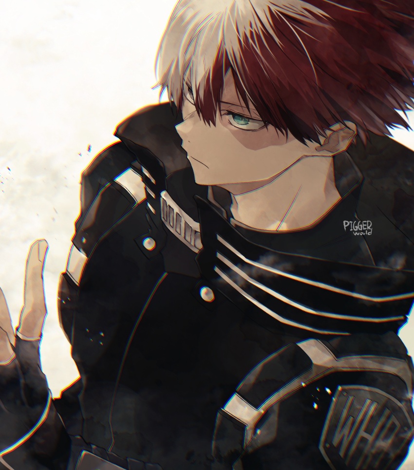 Todoroki Shoto (Boku No Hero Academia) Rule 34 Image