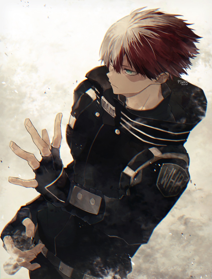 Todoroki Shoto (Boku No Hero Academia) Rule 34 Image
