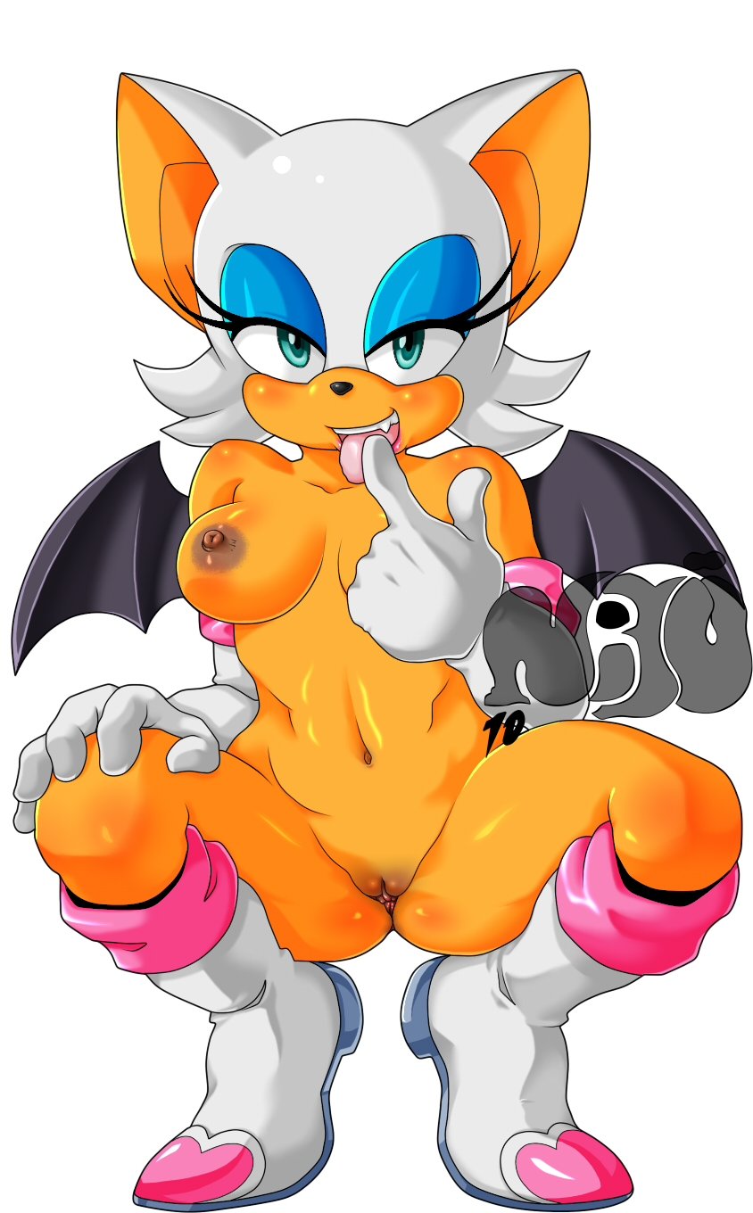 Rouge The Bat (Sega) Rule 34 Image