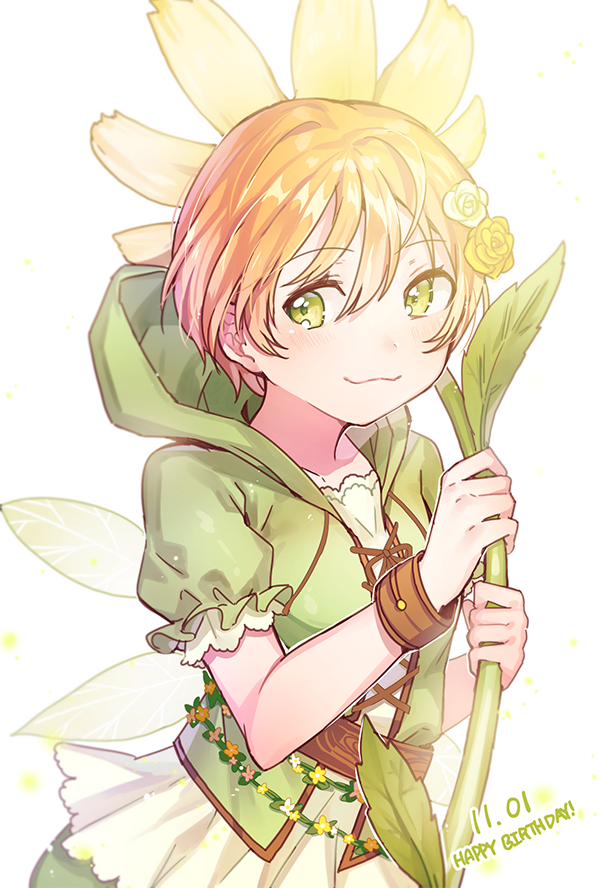 Hoshizora Rin (Love Live!) Rule 34 Image