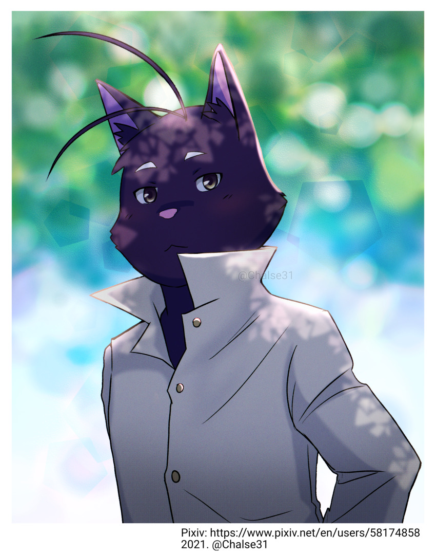 Shin Kuroi (Morenatsu) Rule 34 Image
