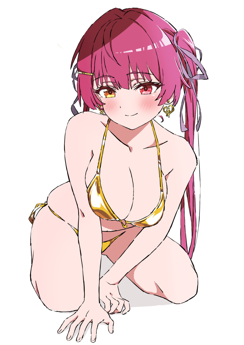 Houshou Marine (Hololive) Rule 34 Image